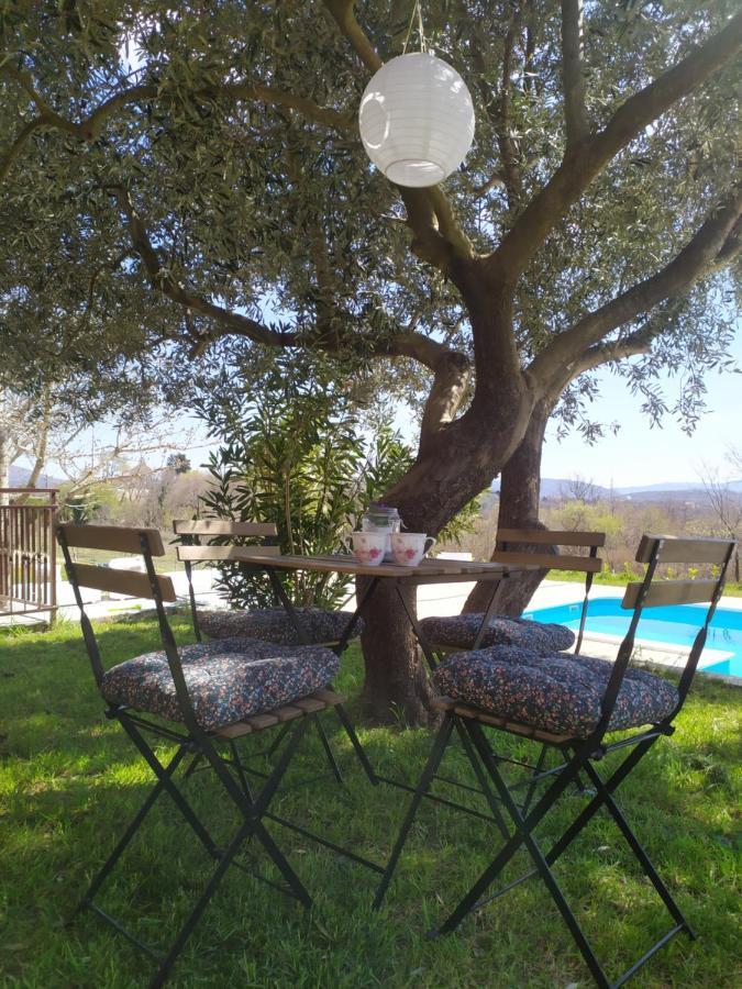 Villa Casa Di Oliva-House With Heated Pool & Jacuzzi In Trilj, Croatia Extérieur photo